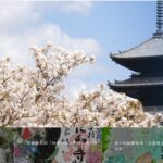 仁和寺