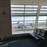 shogi-tokyo-haneda