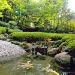 shogi-zuien